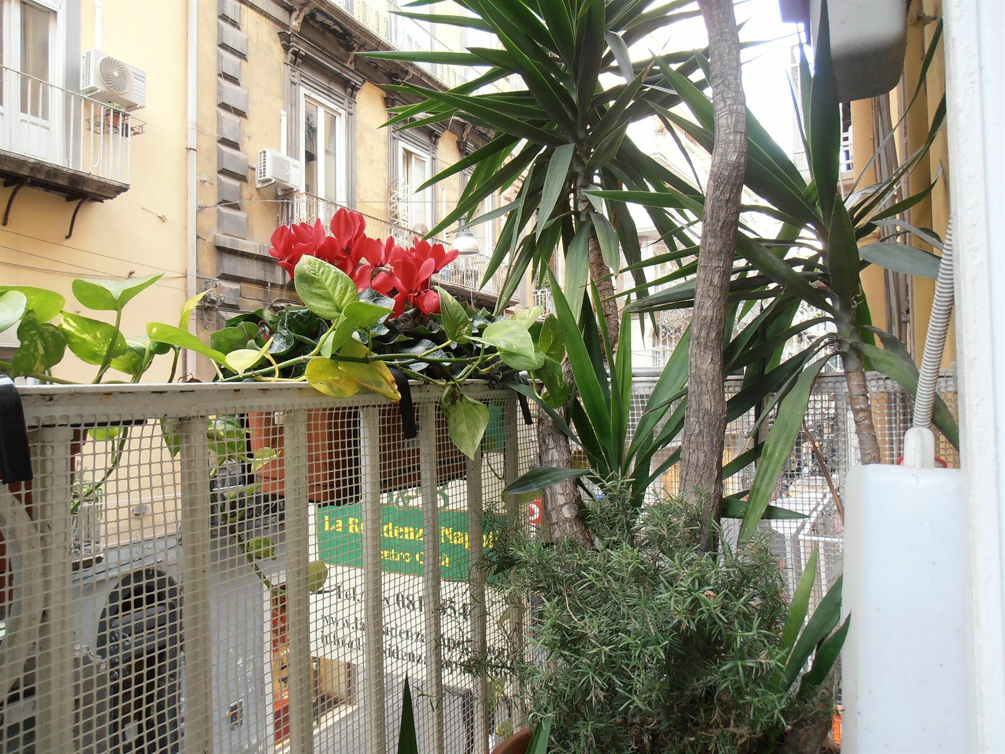 Bed & Breakfast Plebiscito Home Napoli Dış mekan fotoğraf